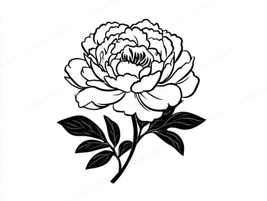 Peony Vector Graphic preview