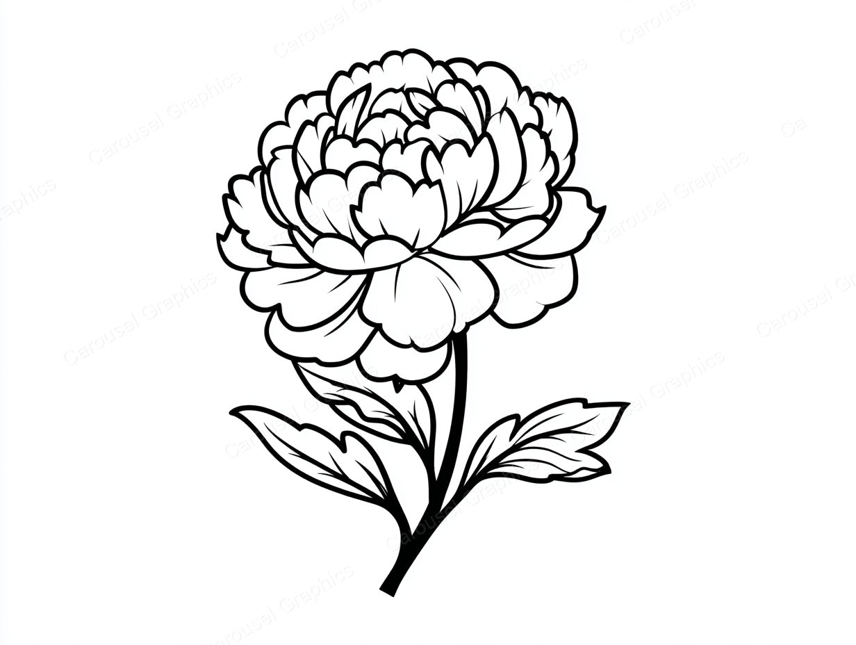 Peony Vector Graphic preview