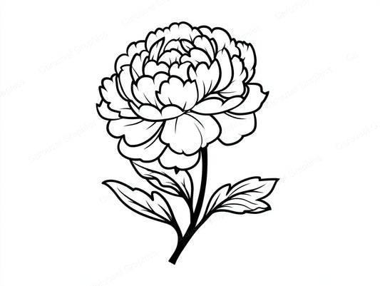 Peony Vector Graphic preview