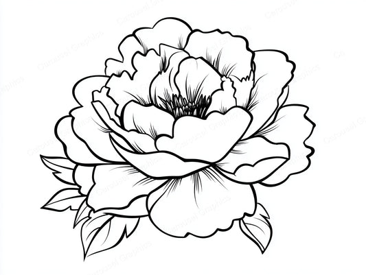 Peony Vector Graphic preview