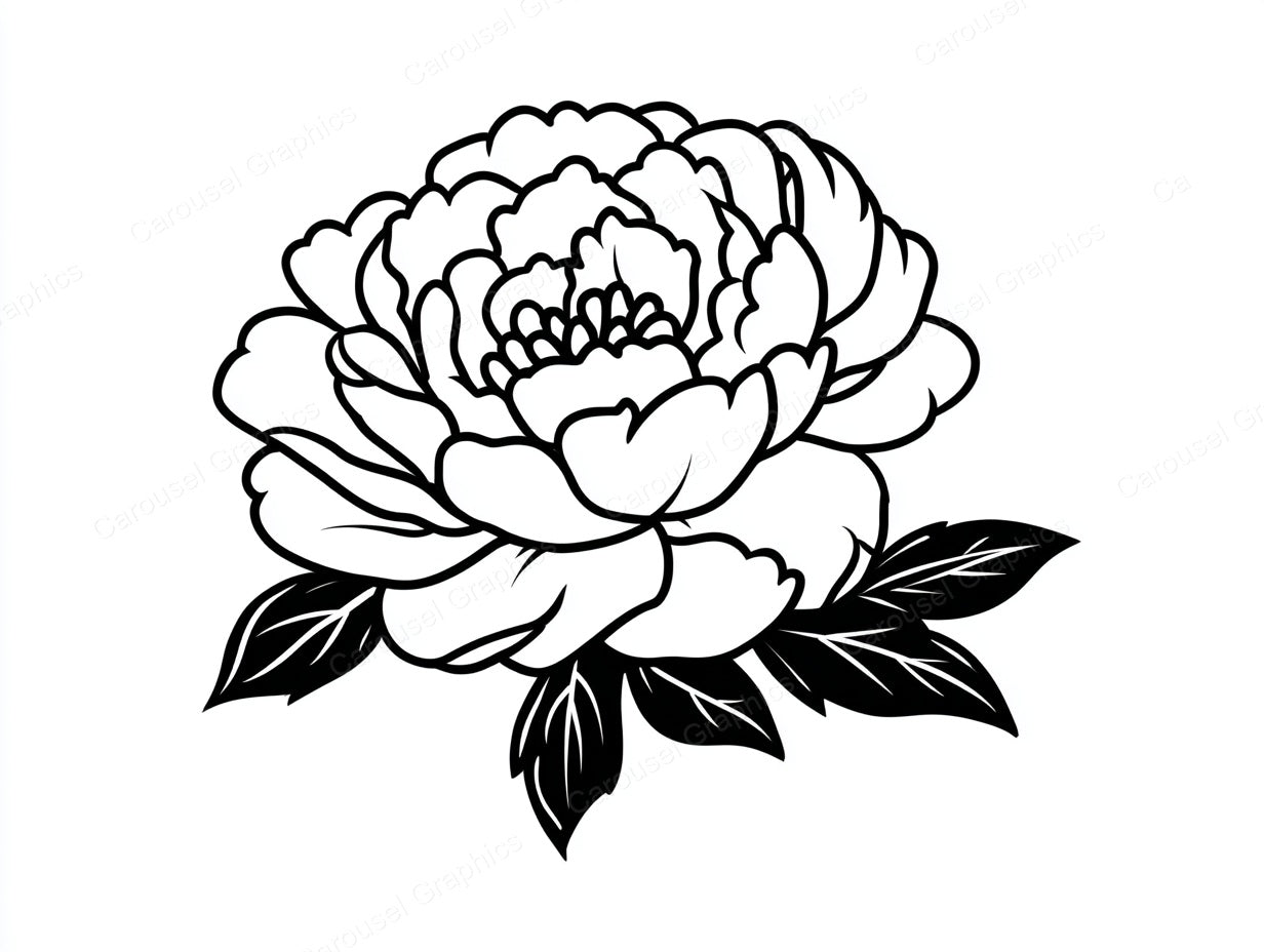 Peony Vector Graphic preview