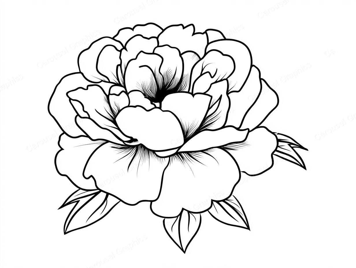 Peony Vector Graphic preview