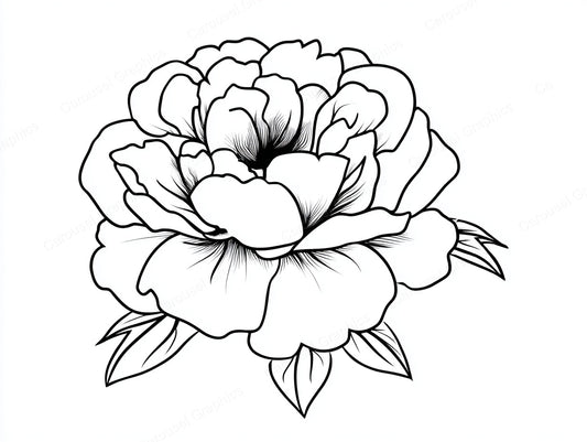Peony Vector Graphic preview