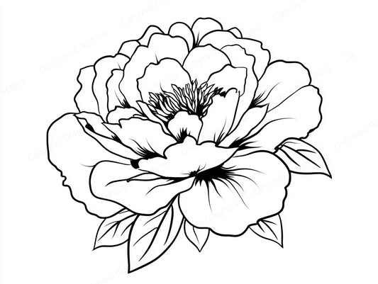 Peony Vector Graphic preview