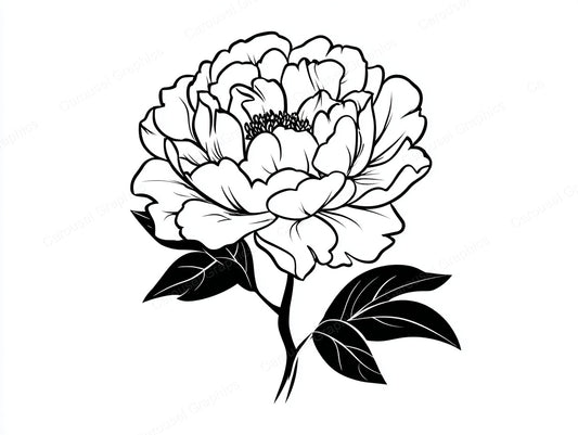 Peony Vector Graphic preview