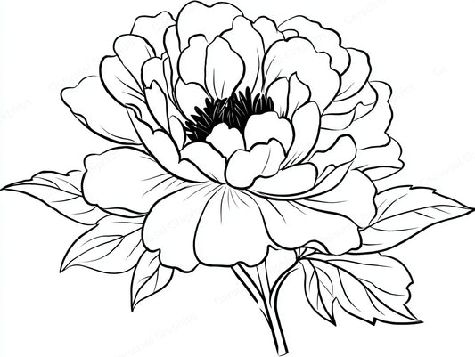 Peony Vector Graphic preview