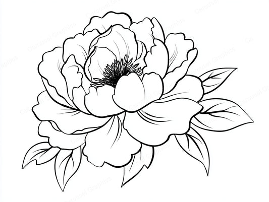 Peony Vector Graphic preview