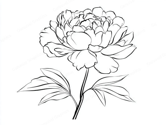 Peony Vector Graphic preview