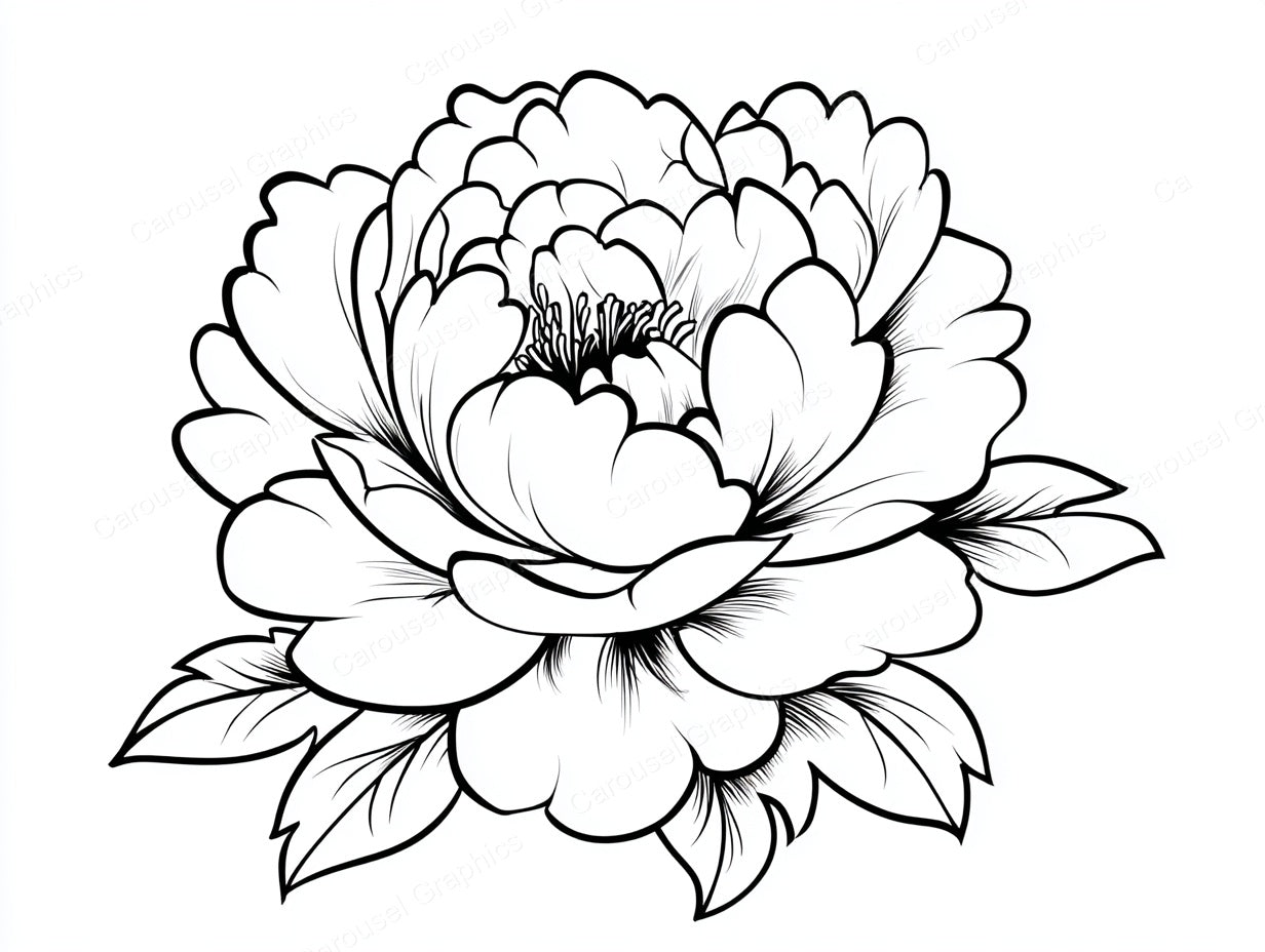 Peony Vector Graphic preview