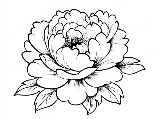 Peony Vector Graphic preview