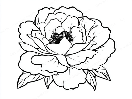 Peony Vector Graphic preview