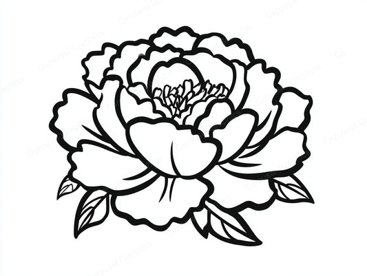 Peony Vector Graphic preview