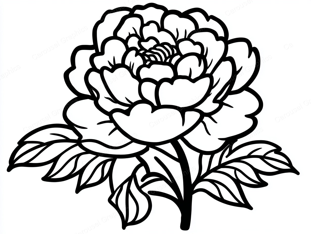 Peony Vector Graphic preview
