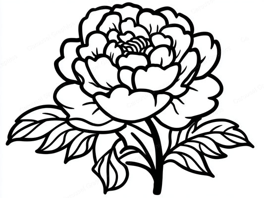 Peony Vector Graphic preview
