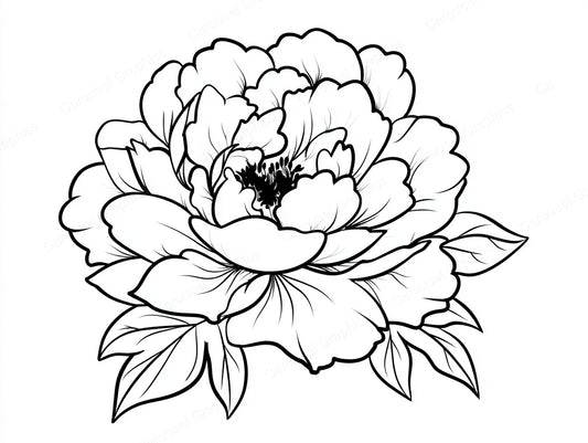 Peony Vector Graphic preview