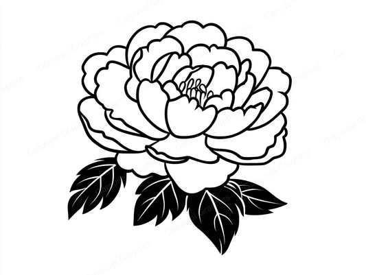 Peony Vector Graphic preview