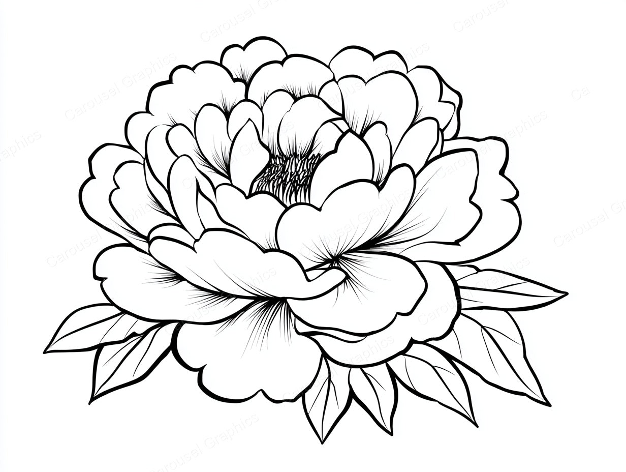 Peony Vector Graphic preview