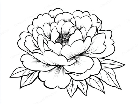 Peony Vector Graphic preview
