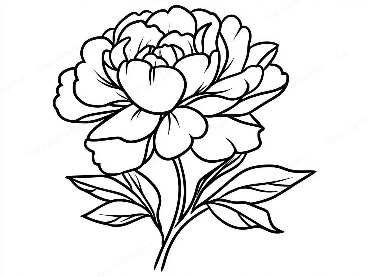 Peony Vector Graphic preview