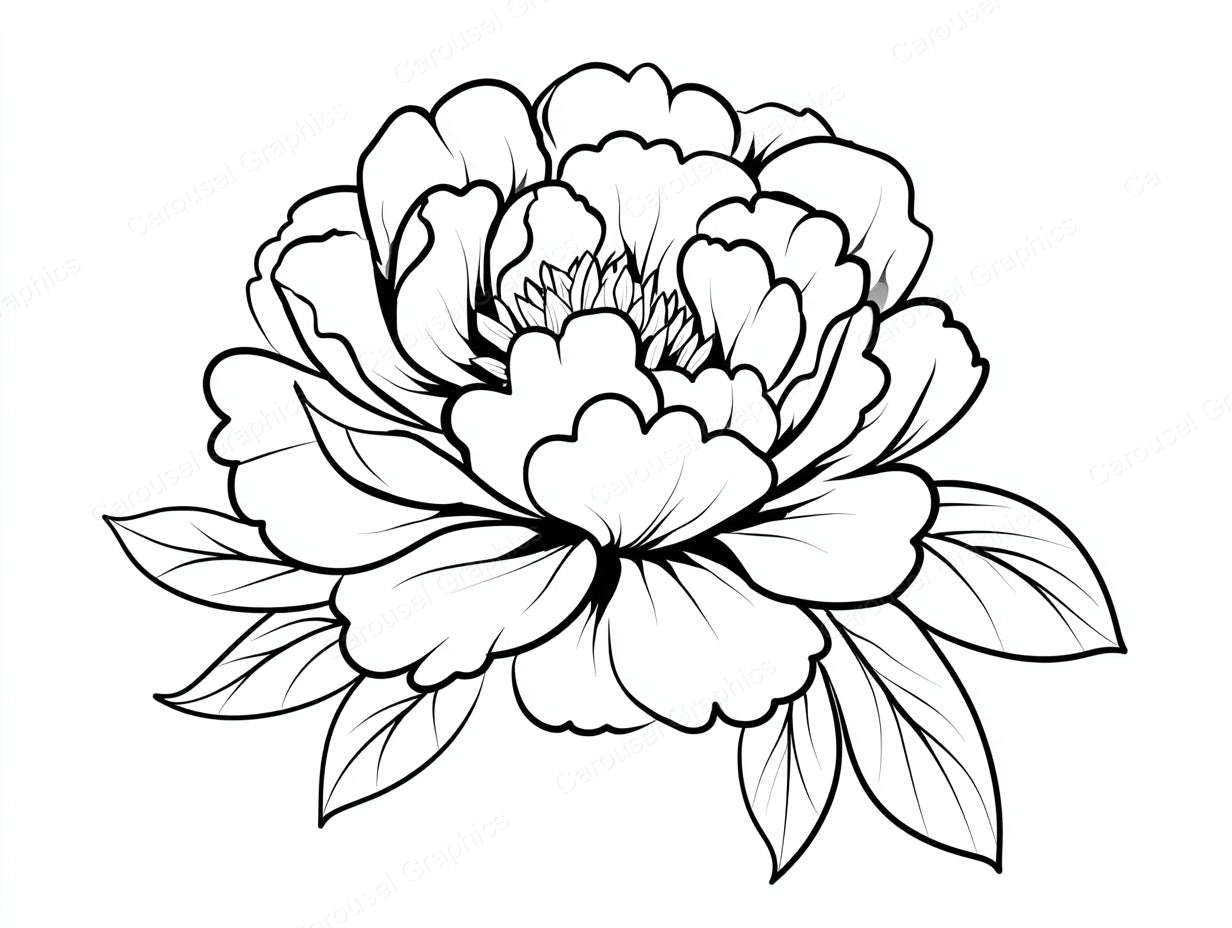 Peony Vector Graphic preview