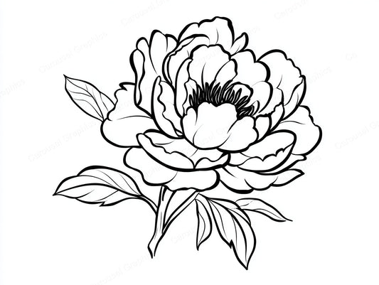 Peony Vector Graphic preview