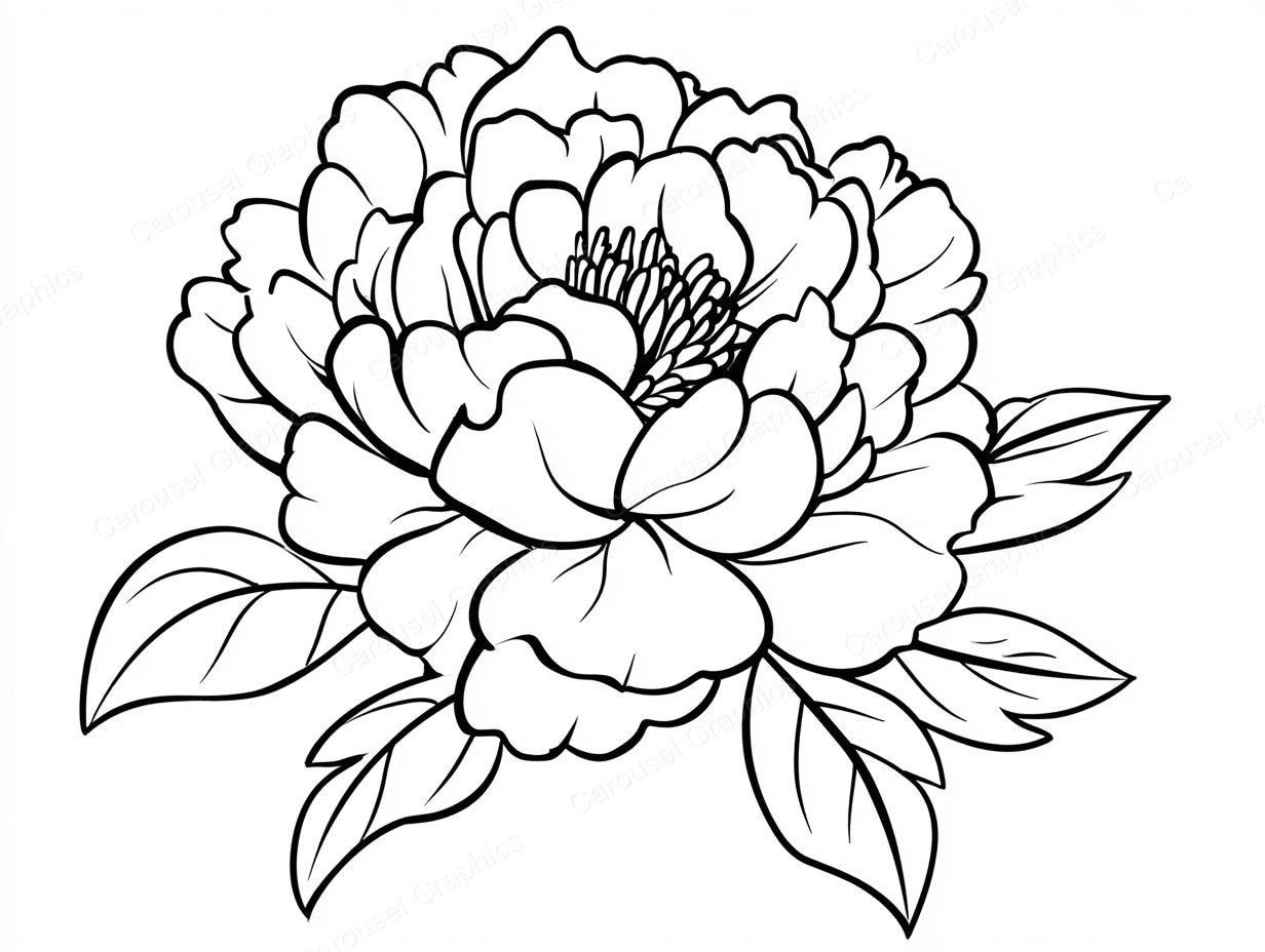 Peony Vector Graphic preview
