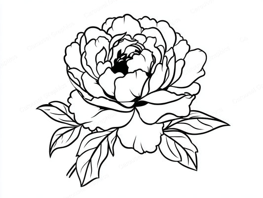 Peony Vector Graphic preview