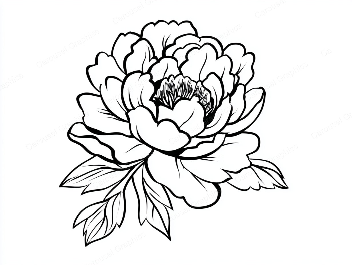 Peony Vector Graphic preview