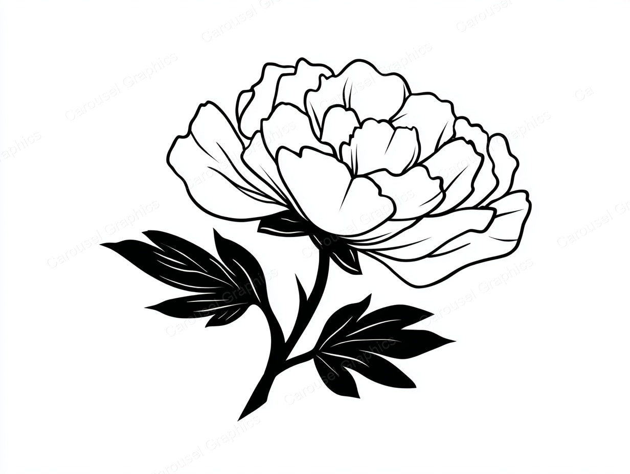 Peony Vector Graphic preview