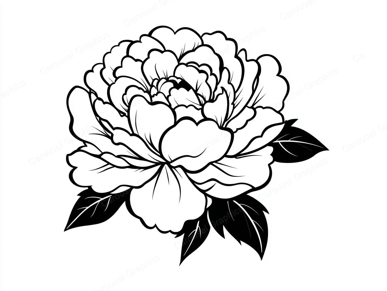 Peony Vector Graphic preview