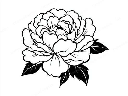 Peony Vector Graphic preview