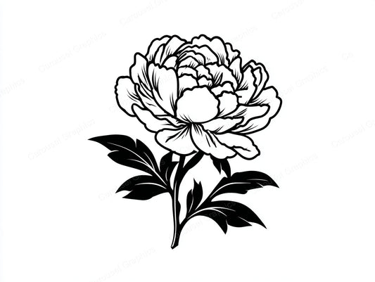 Peony Vector Graphic preview
