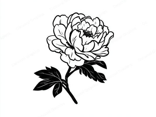 Peony Vector Graphic preview