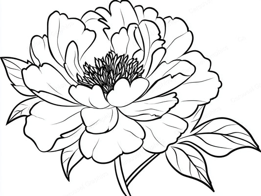 Peony Vector Graphic preview