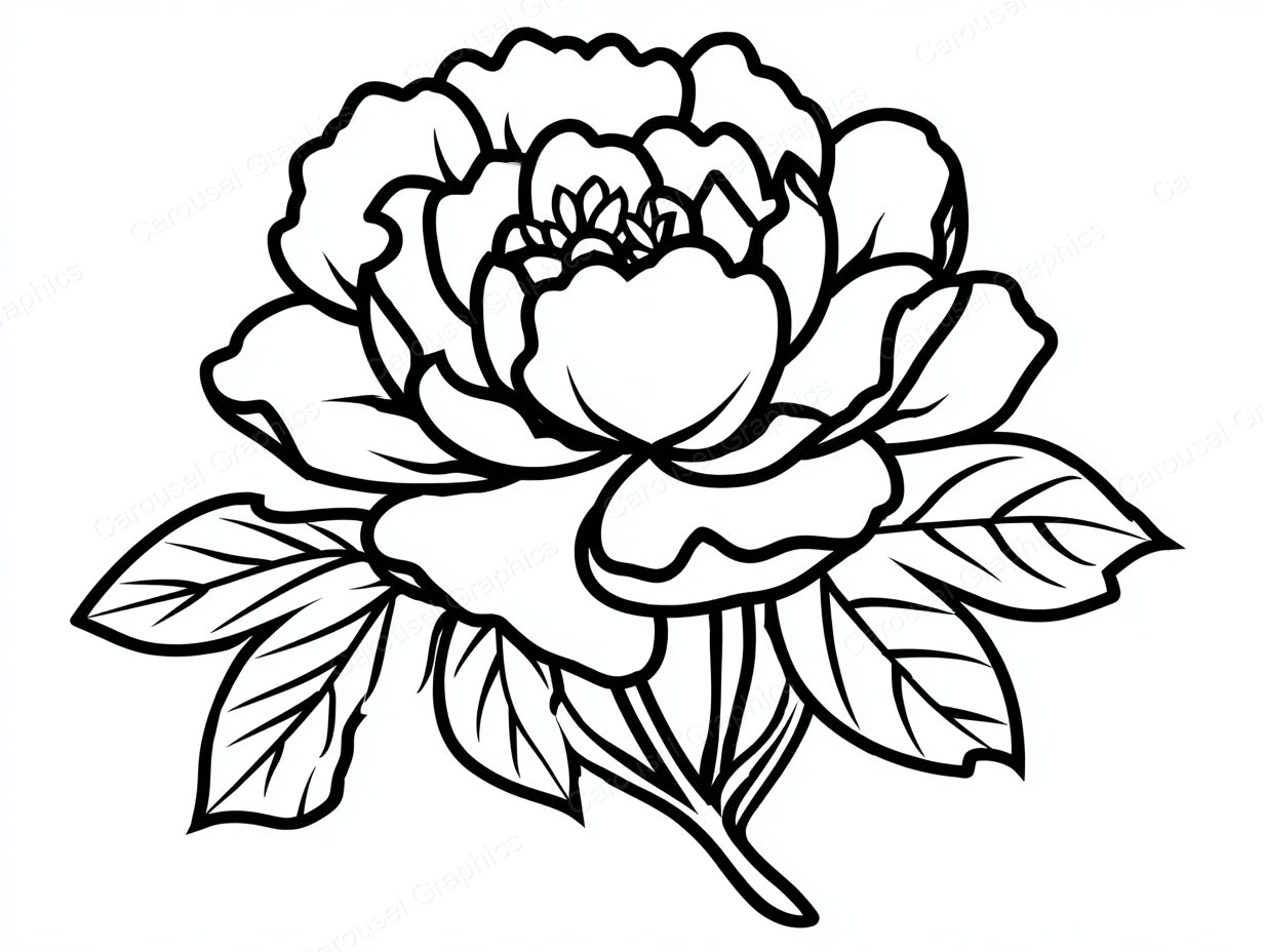 Peony Vector Graphic preview
