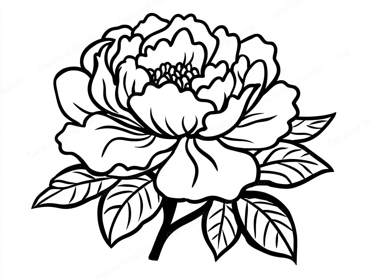 Peony Vector Graphic preview