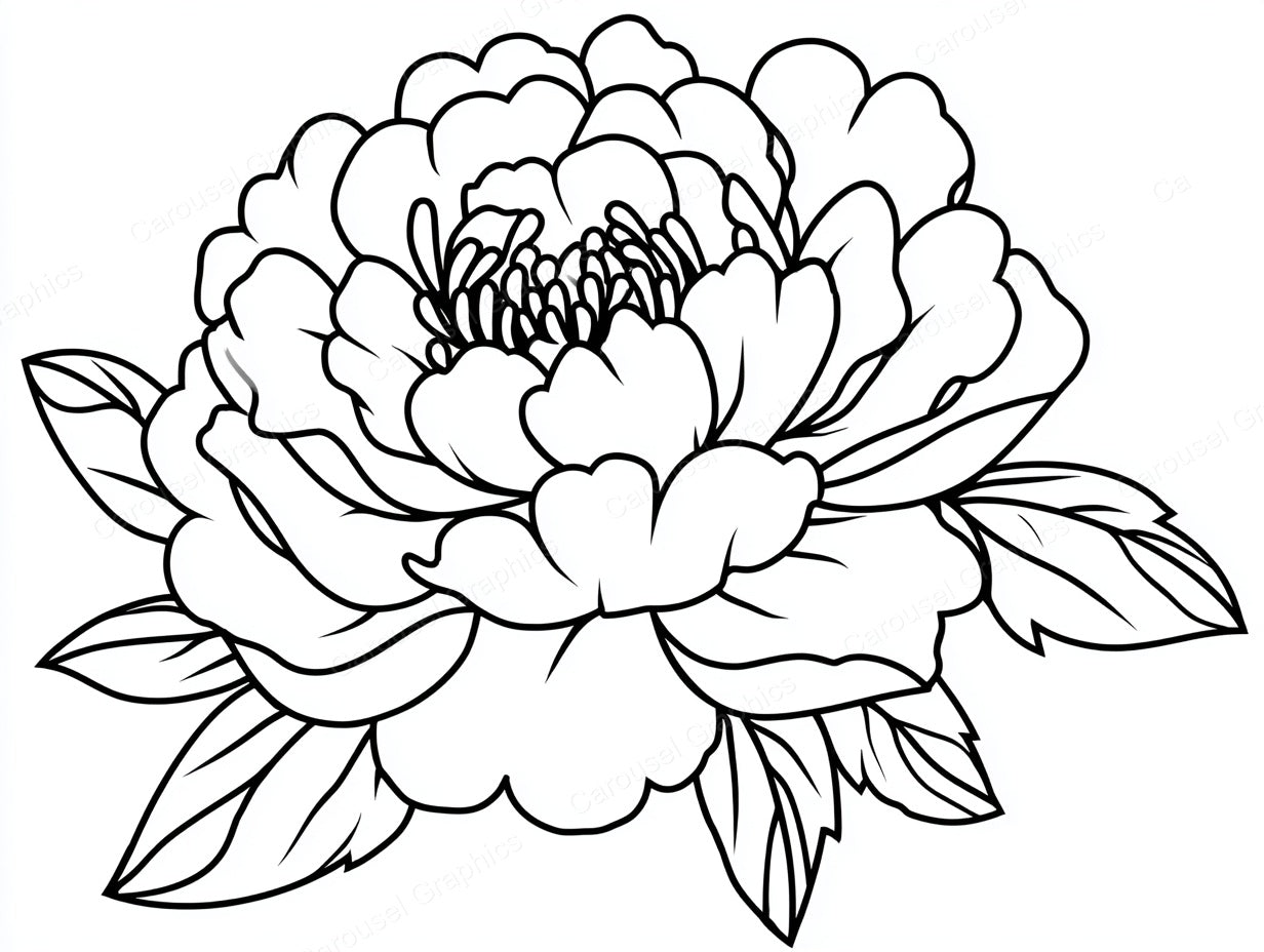 Peony Vector Graphic preview