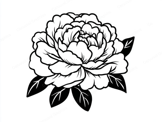 Peony Vector Graphic preview