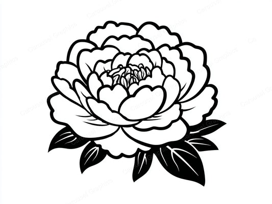 Peony Vector Graphic preview