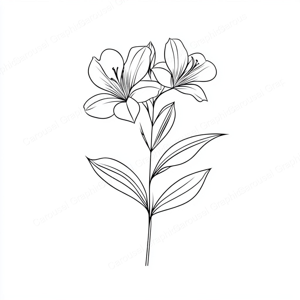 Alstroemeria Vector Graphic preview