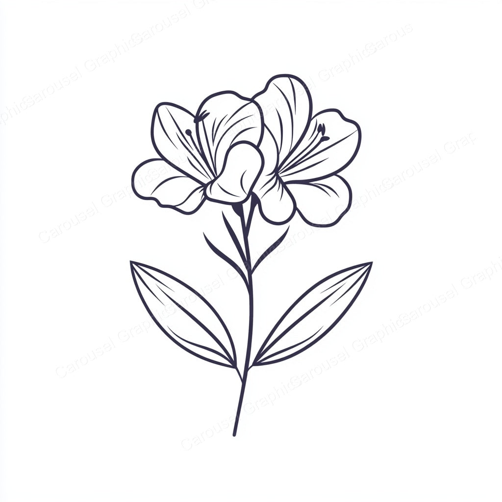 Alstroemeria Vector Graphic preview