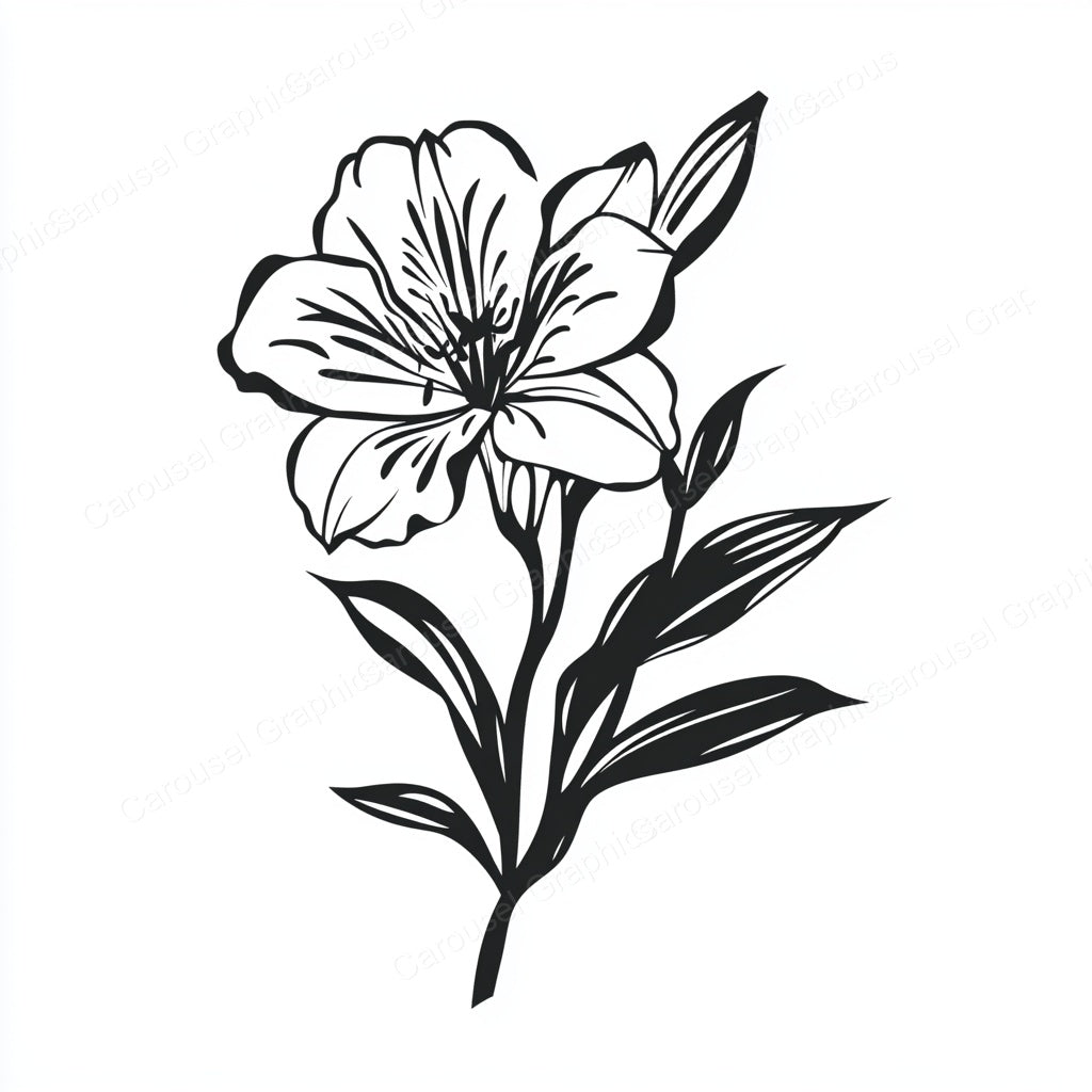Alstroemeria Vector Graphic preview