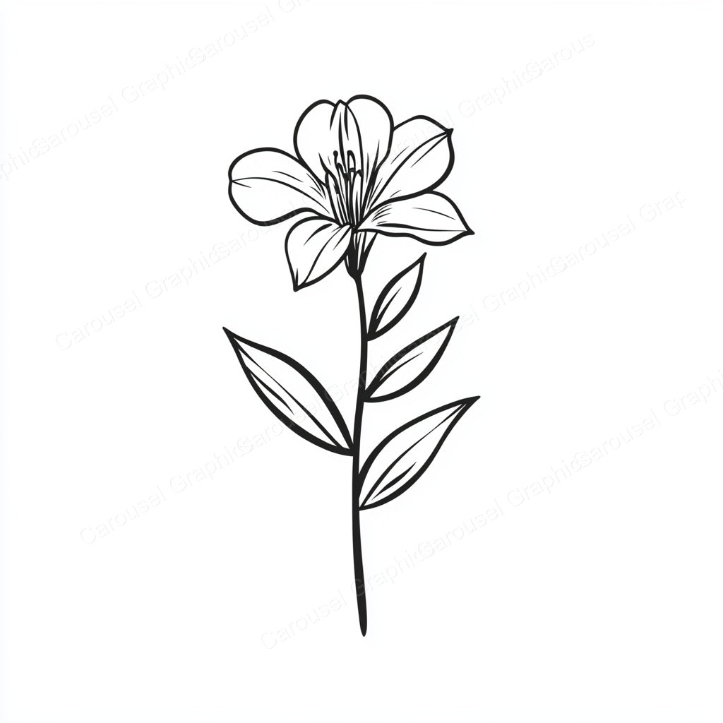 Alstroemeria Vector Graphic preview