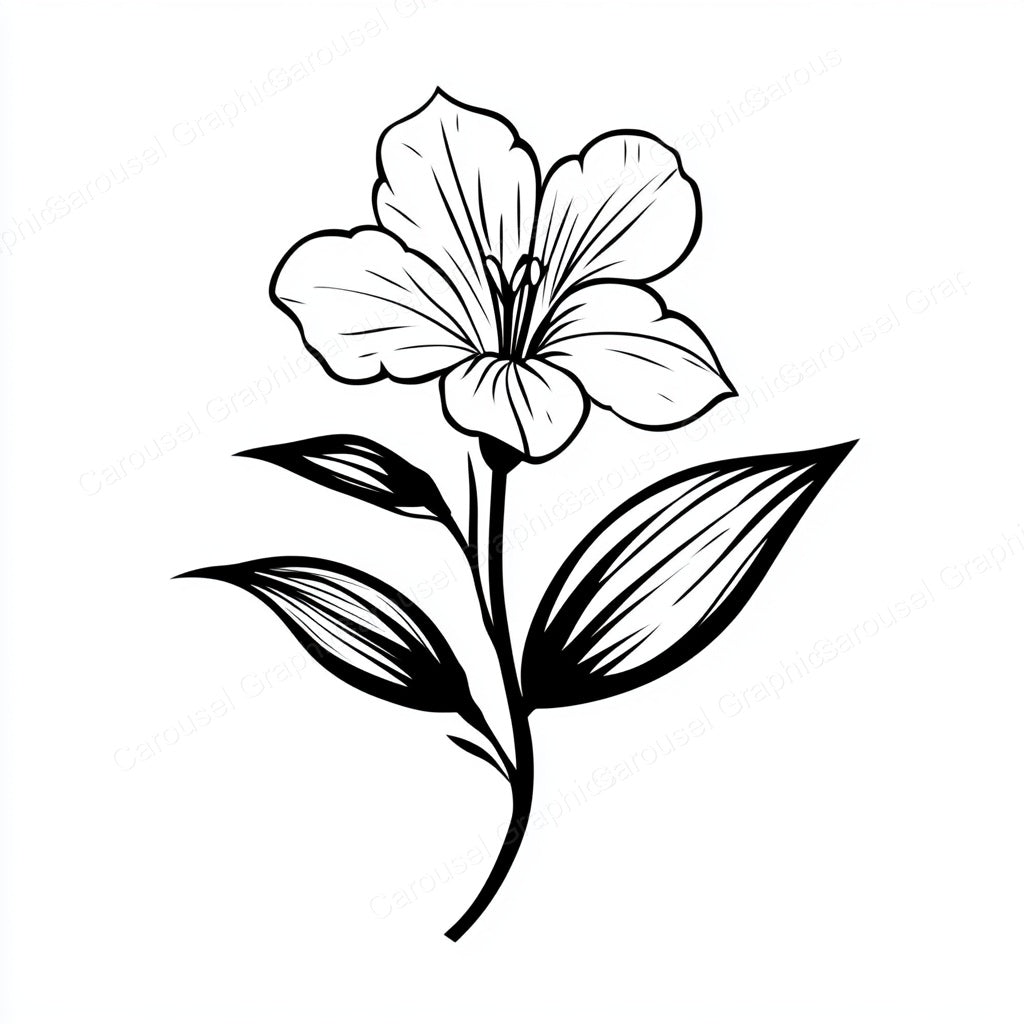 Alstroemeria Vector Graphic preview