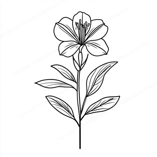 Alstroemeria Vector Graphic preview