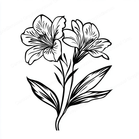 Alstroemeria Vector Graphic preview