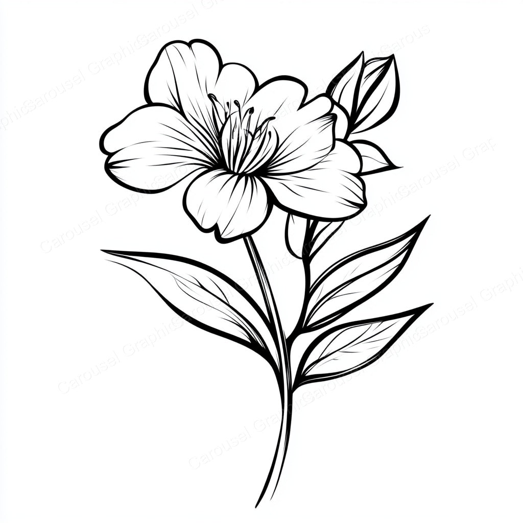 Alstroemeria Vector Graphic preview