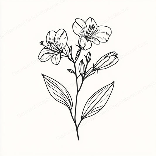 Alstroemeria Vector Graphic preview