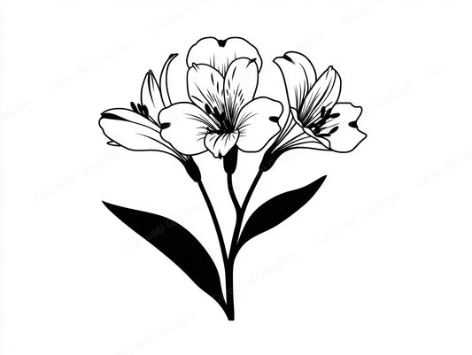 Alstroemeria Vector Graphic preview