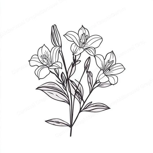 Alstroemeria Vector Graphic preview